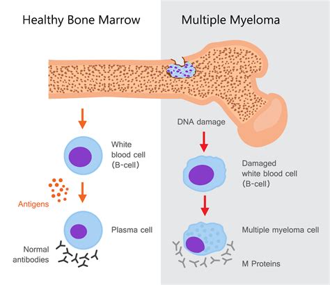 myElcom .